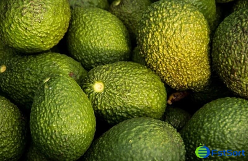 máquina de clasificación de aguacate máquina de clasificación de aguacate